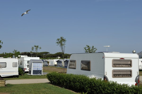 Camping pas cher à saintes-maries-de-la-mer : découvrez le camping mas de mourgues en camargue pour des vacances abordables