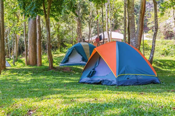 Découvrez le Camping Les Logeries